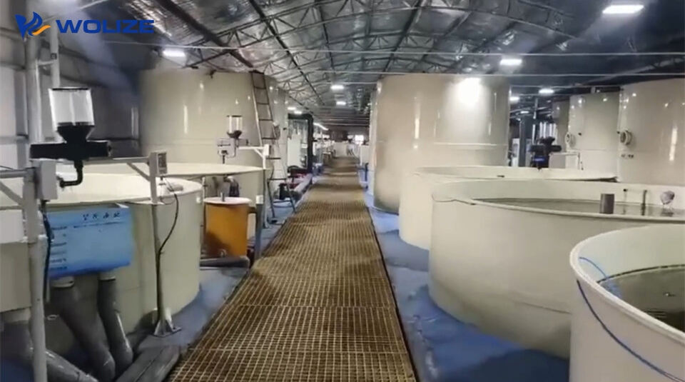 Film o systemie akwakultury