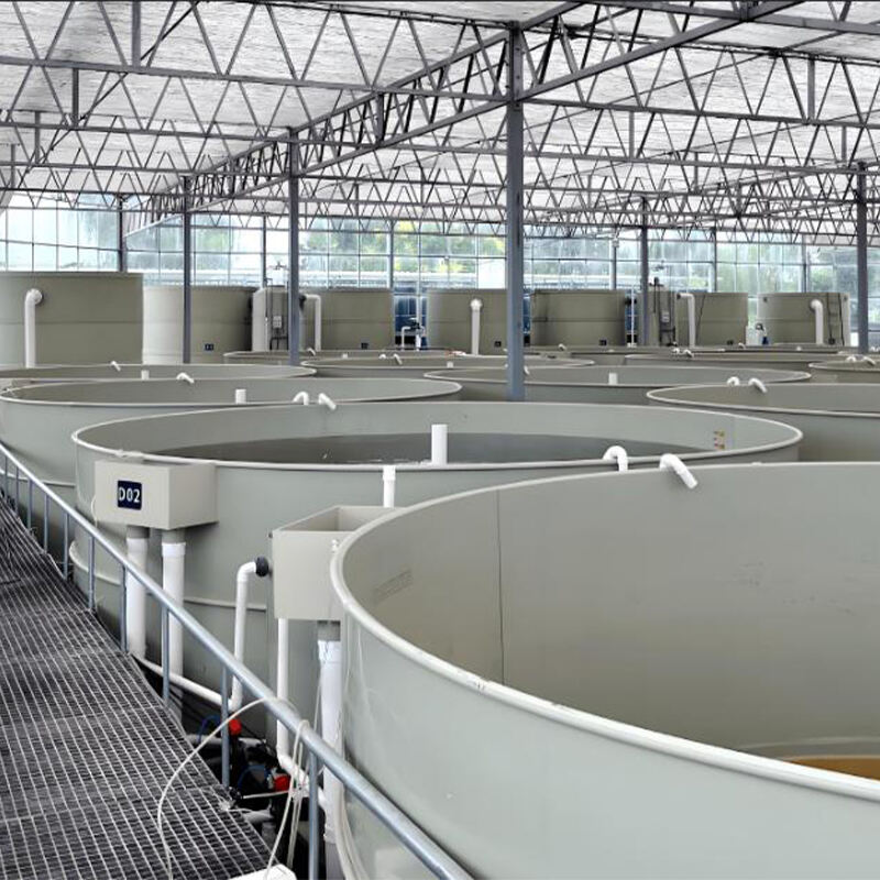 Polypropylen-Fischbecken für RAS-Systeme: Eine überlegene Wahl für moderne Aquakultur