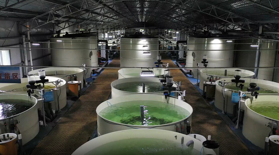 Présentation sur site du système d'aquaculture