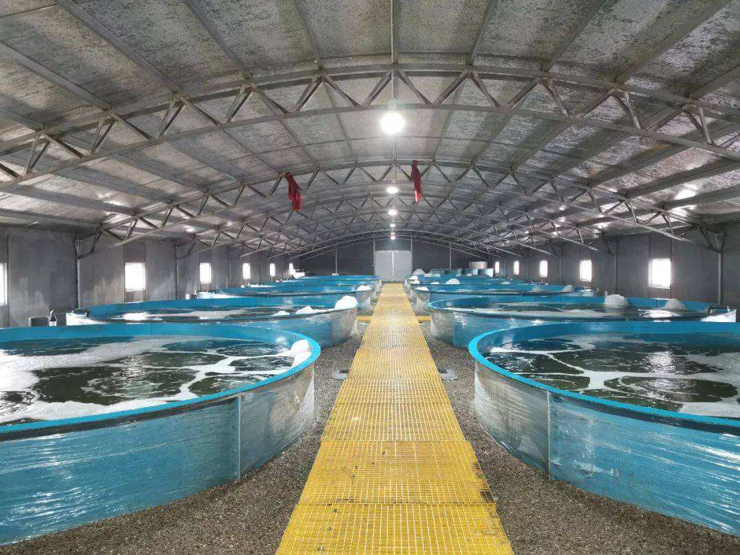 Process control of solid particles in circulating water (Ⅲ): Control TTS through microfiltration and beam precipitator!