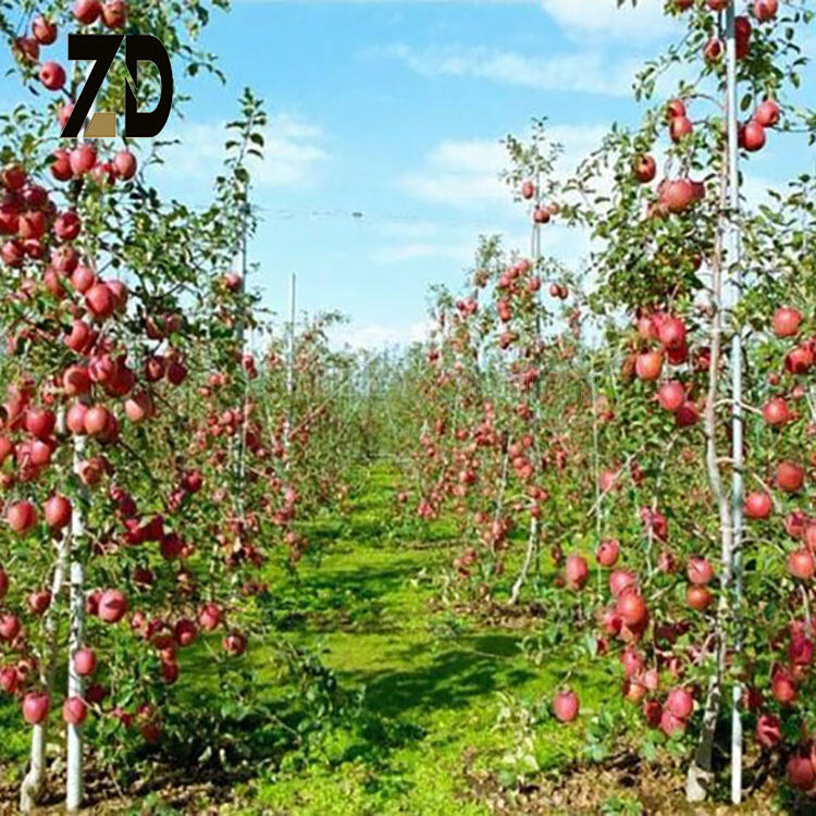 Omfattande hälso- och säkerhetsförmåner