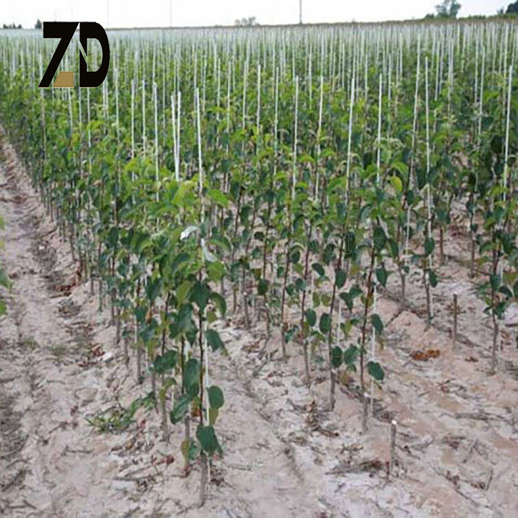 Výjimečná odolnost vůči životnímu prostředí a dlouhá životnost