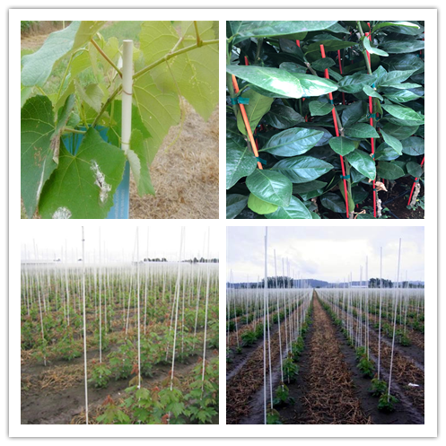 fiberglass stakes .png