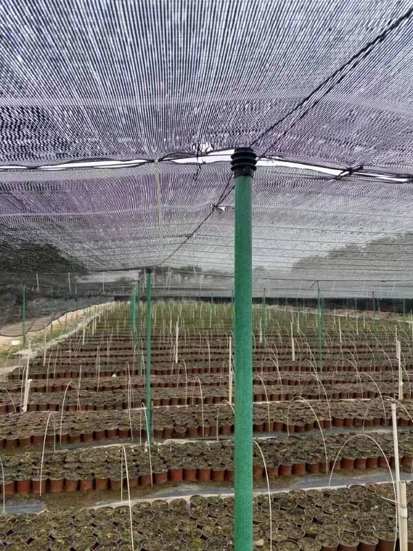 1 (54)(393177302d).jpg