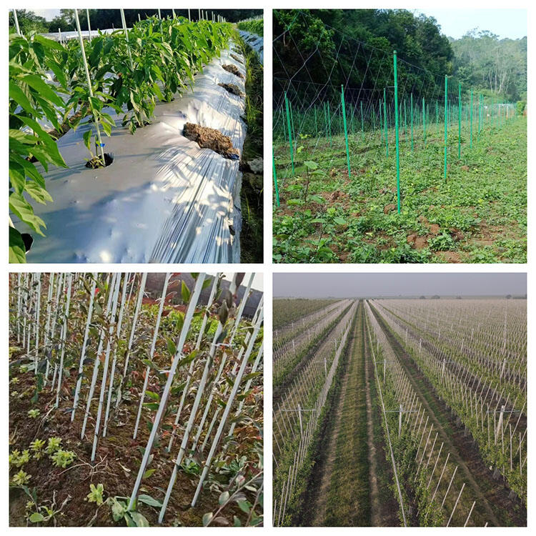 fiberglass plant stake application.jpg