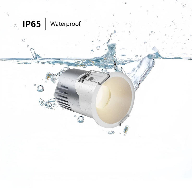 https://shopcdnpro.grainajz.com/category/426455/3163/69f7b371e54037d0ced895ad1b490511/LED%20Downlight.jpg