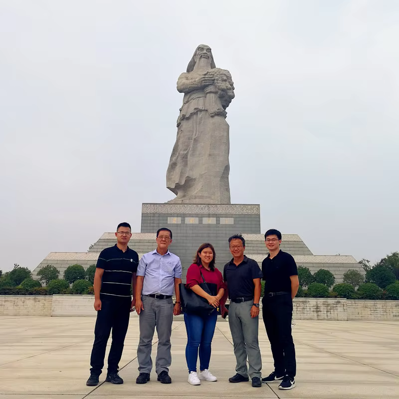 Disposable Non Woven Disposable Bra Underwear details