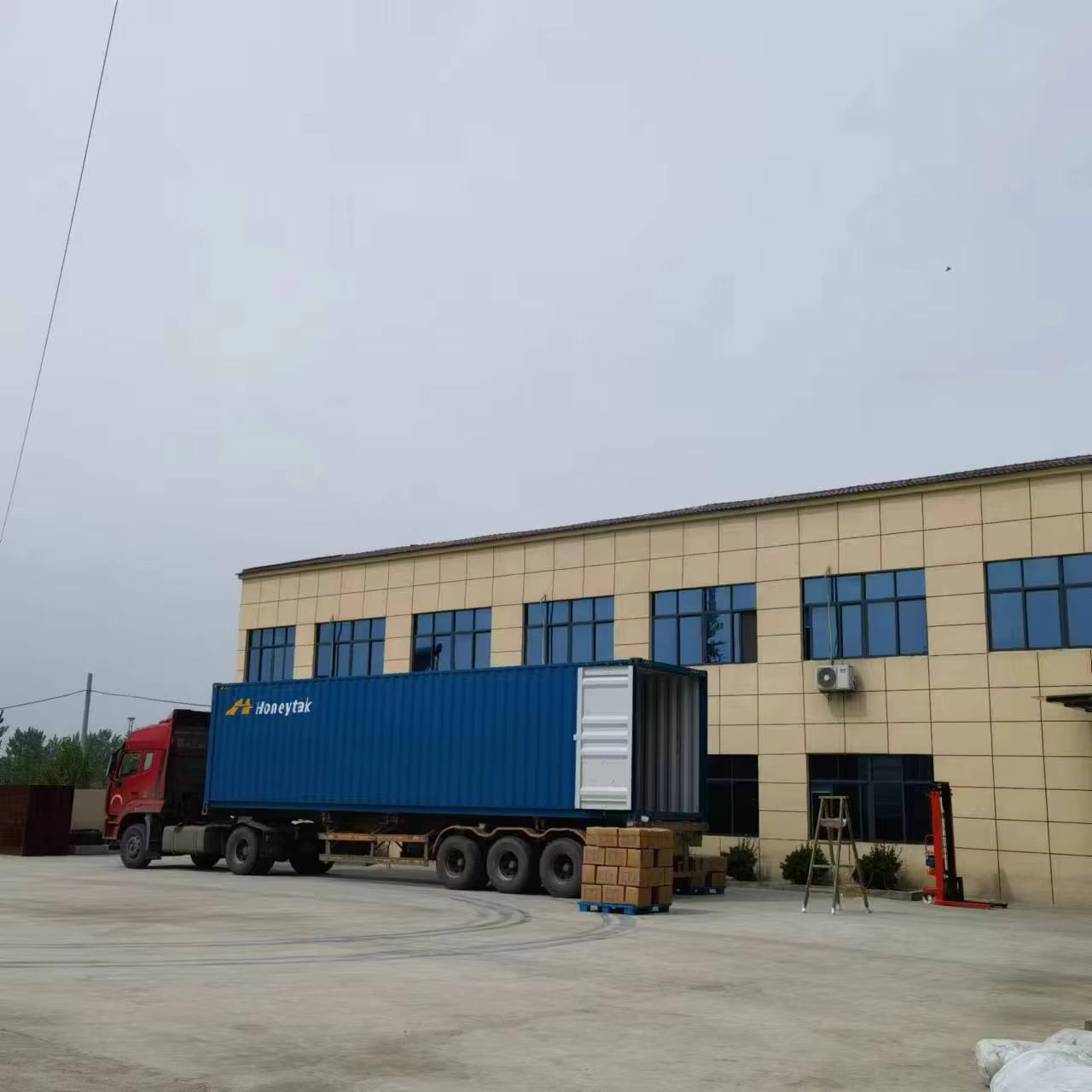 Vagina Detox Pearls Applicator 8mm 9mm 11mm 13mm supplier