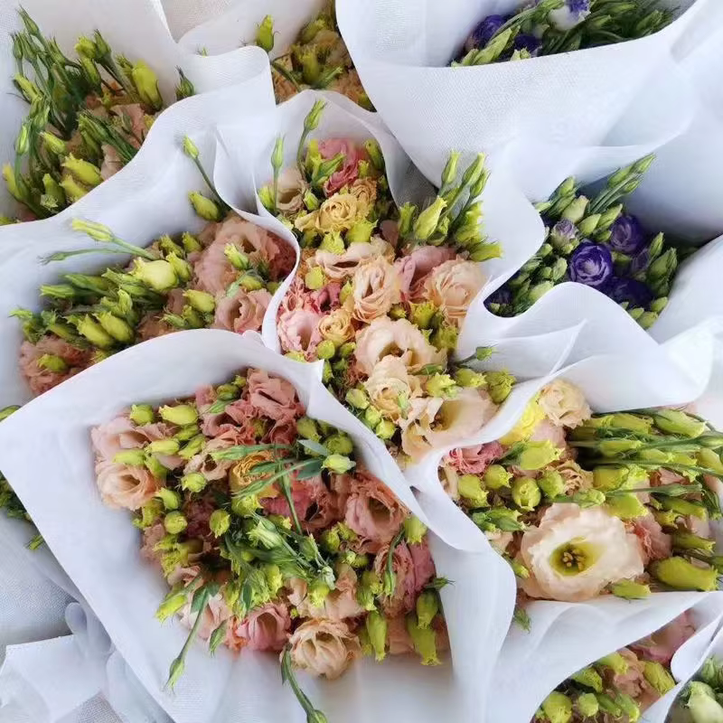 Non Woven Flower/Plant Bag Sleeve factory