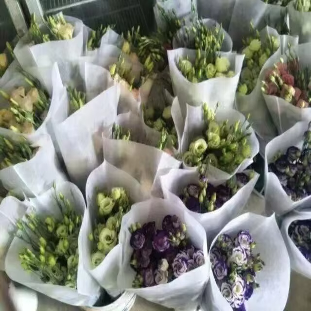 Non Woven Flower/Plant Bag Sleeve factory