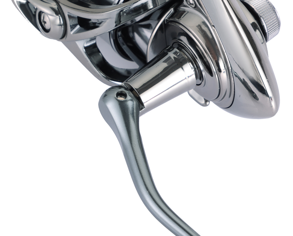 Global Export Support for Feeder Focused Markets