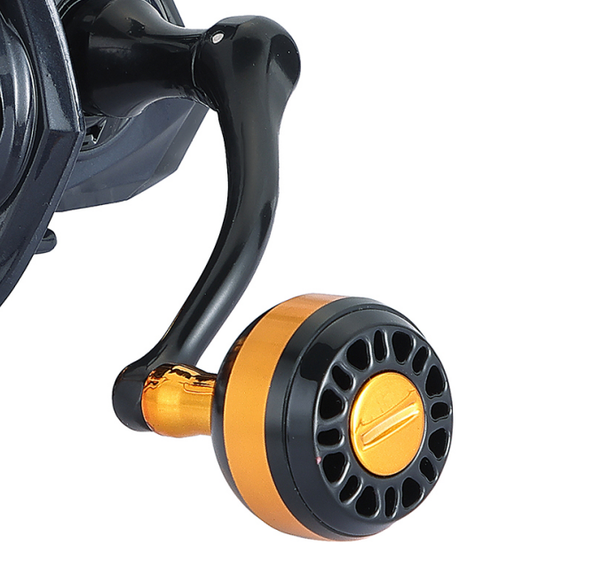 Global Export Support for Feeder Focused Markets