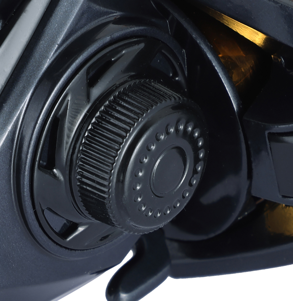 Global Export Support for Feeder Focused Markets