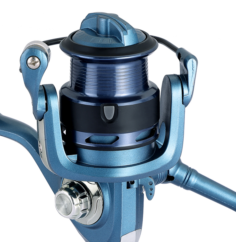 Global Export Support for Feeder Focused Markets