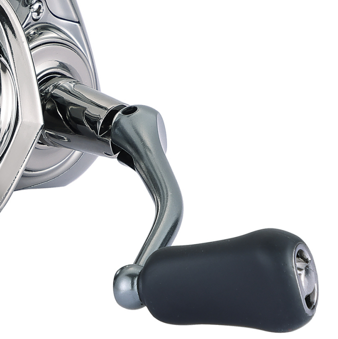 Global Export Support for Feeder Focused Markets