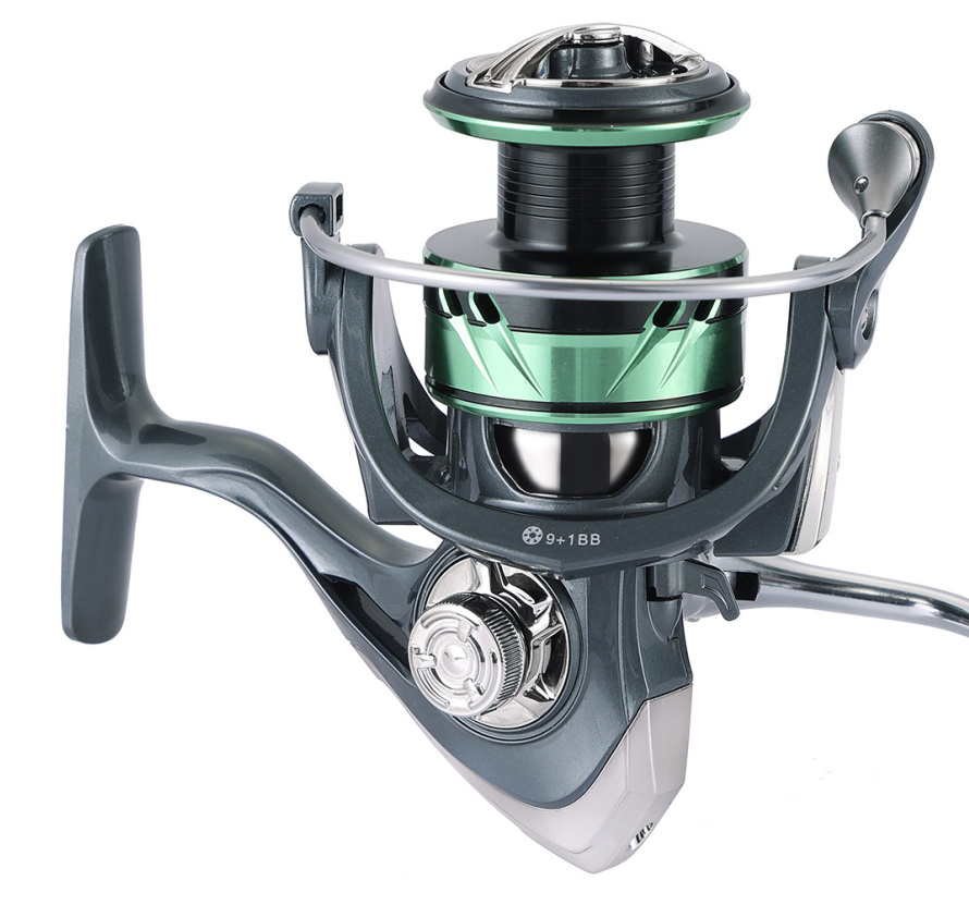 Global Export Support for Feeder Focused Markets