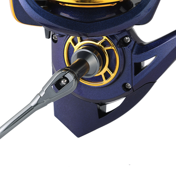 Market Tailored OEM Support