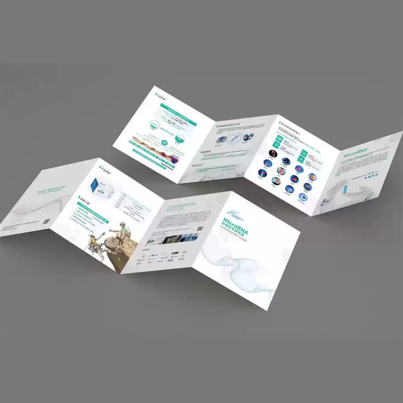 Superior Quality Instructions Acceptable Customization Small Booklet Paper High Quality Leaflet