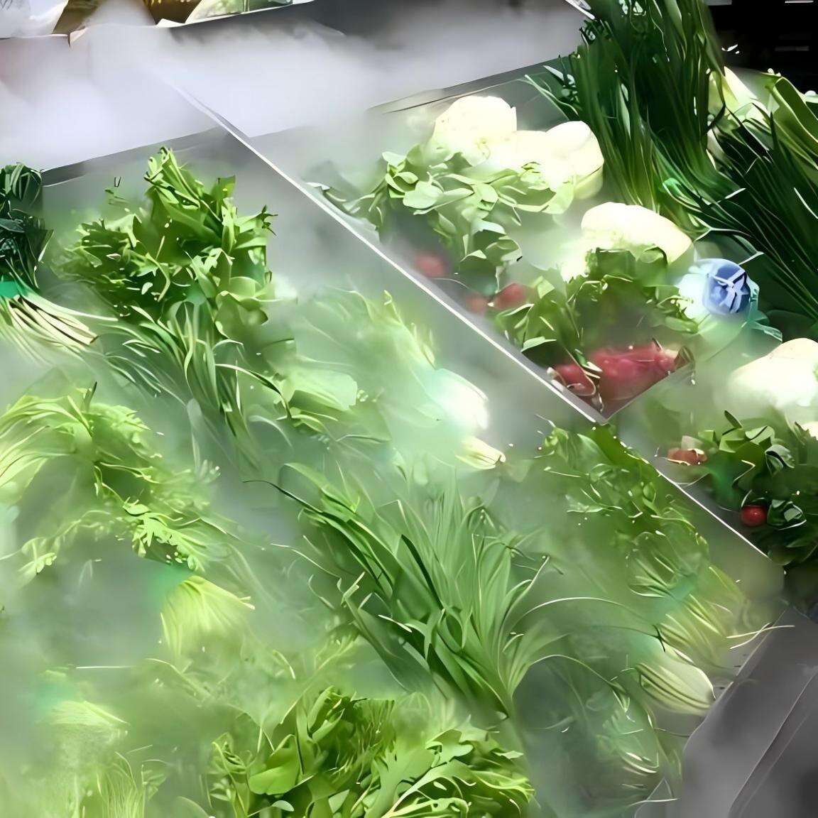 When “German Precision” Meets Freshness: How LuftGlück Extends Shelf Life in European Supermarkets