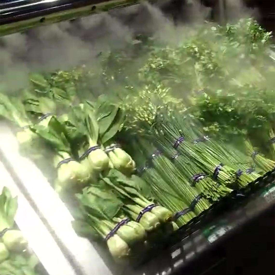 Freshness Preservation