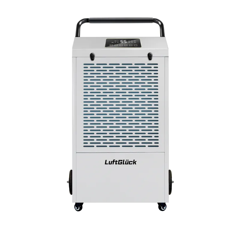 How Much Energy Can You Save with an Energy Efficient Dehumidifier?