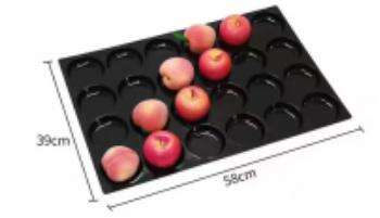 fruit receptacle