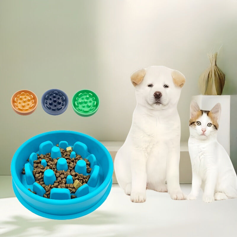 Rapid Development and Customization Capabilities