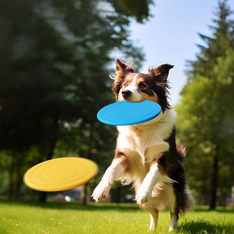 Silicone Frisbee For Pet Training