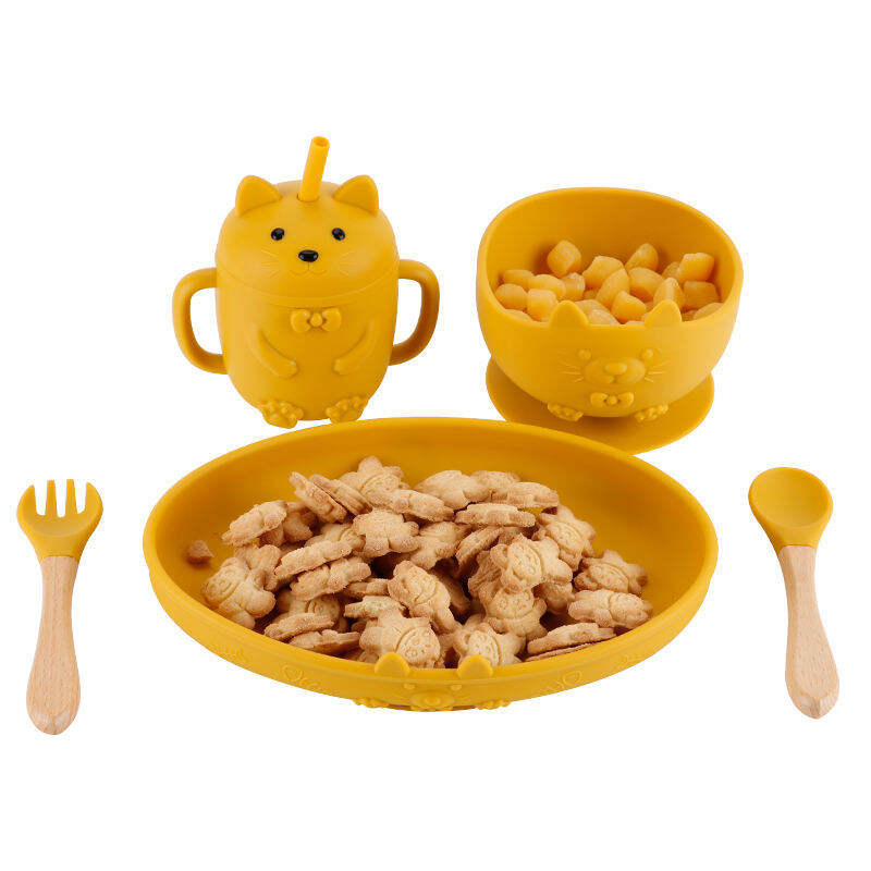 Customization Capabilities and Application Expertise