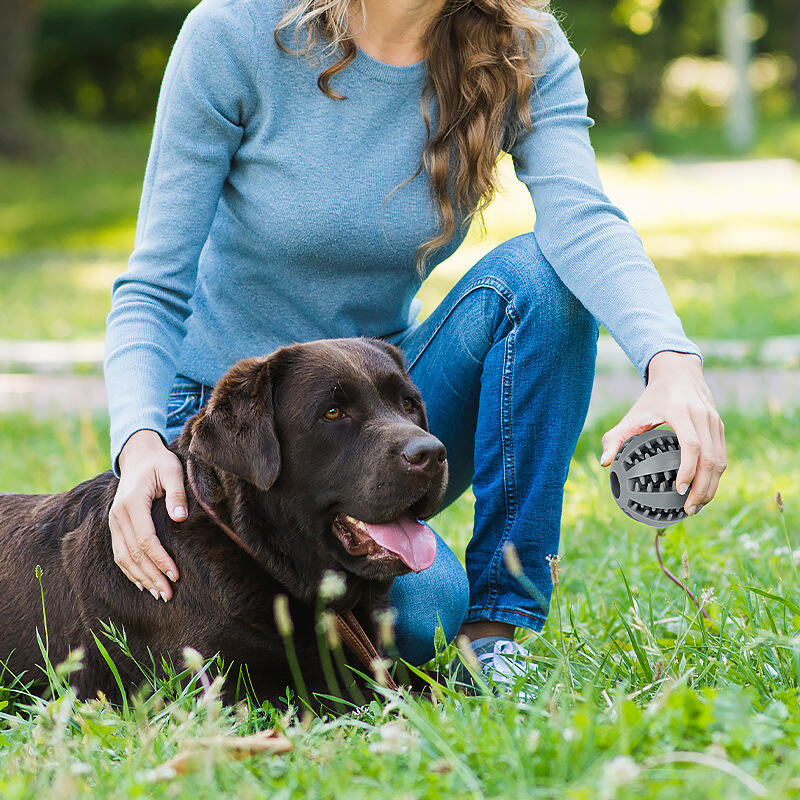 Förbättrad hygien och hälsofördelar