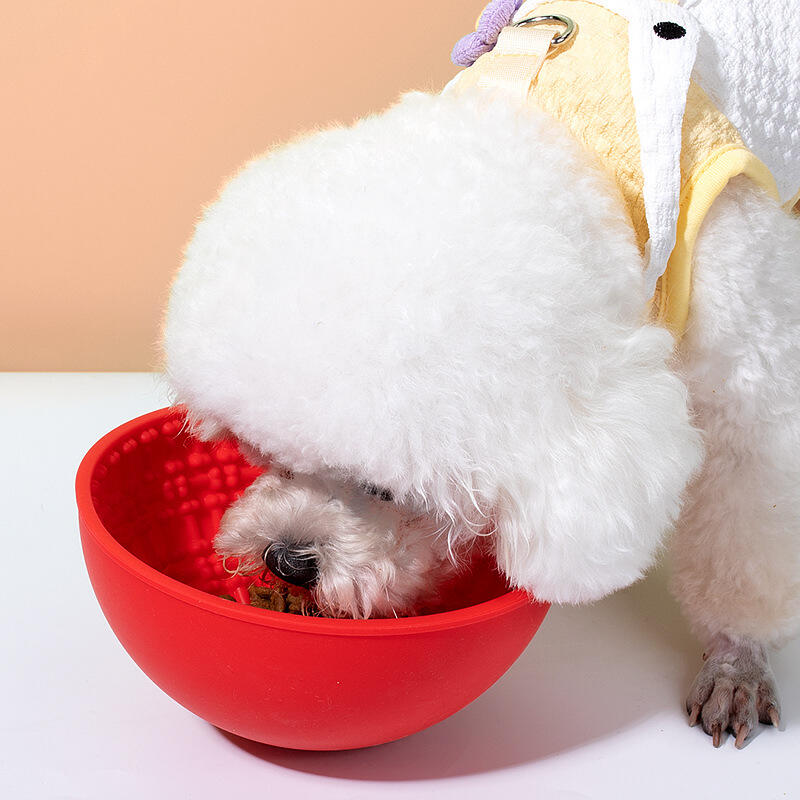 Kraftfull Konstruktion och Hållbarhetsmästerskap