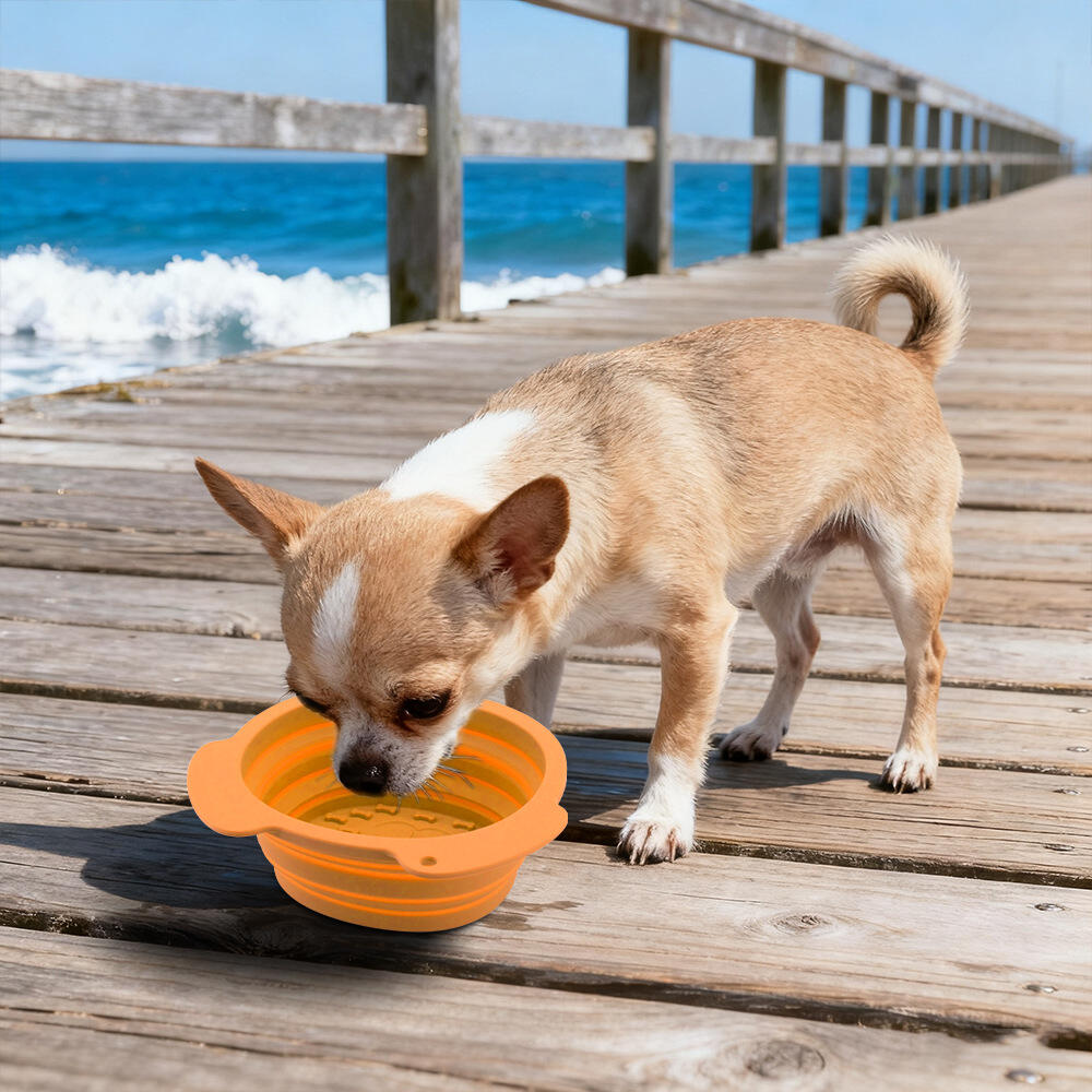 Hälsovårdsovervakning och välmåndsspårningsfunktioner