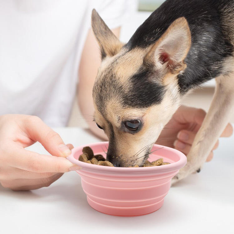 تكنولوجيا التخصيص المتقدمة ومرونة التصميم