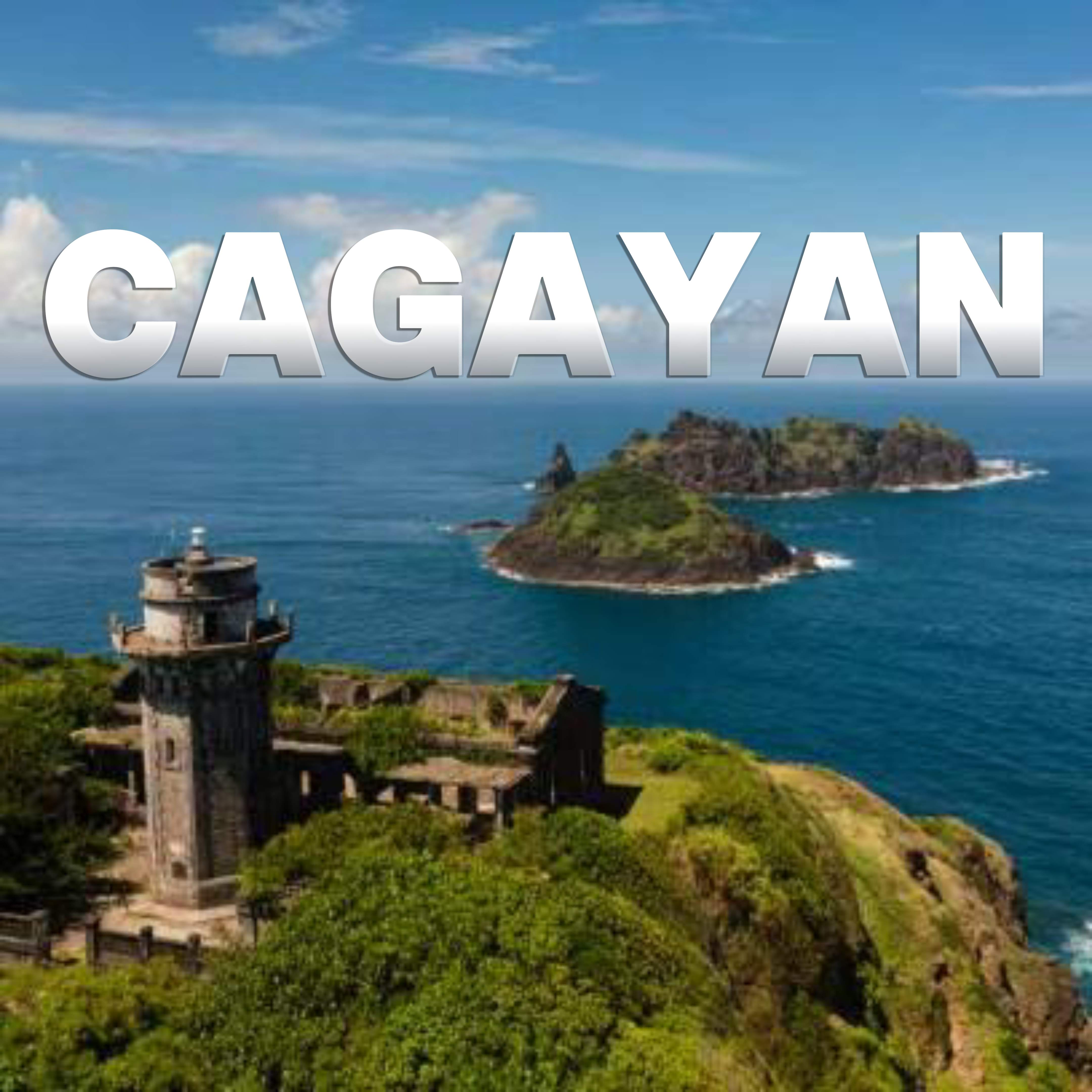 Kumpletong Eksperto sa Pamamahala ng Customs at Pagpapatupad ng Batas