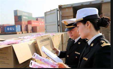 Customs Expertise and Compliance Management