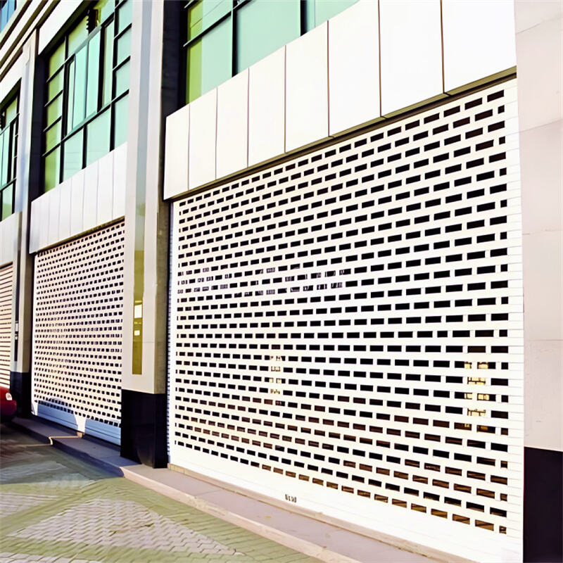 Puerta Enrollable Perforada de Aluminio - Ventilación y Seguridad Antirrobo para Comercios