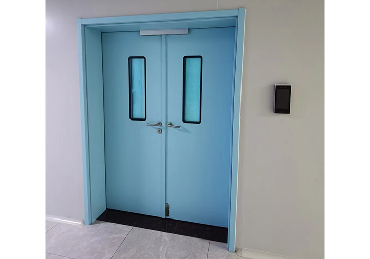 Steel door