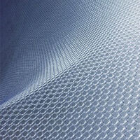 Mesh Cushion