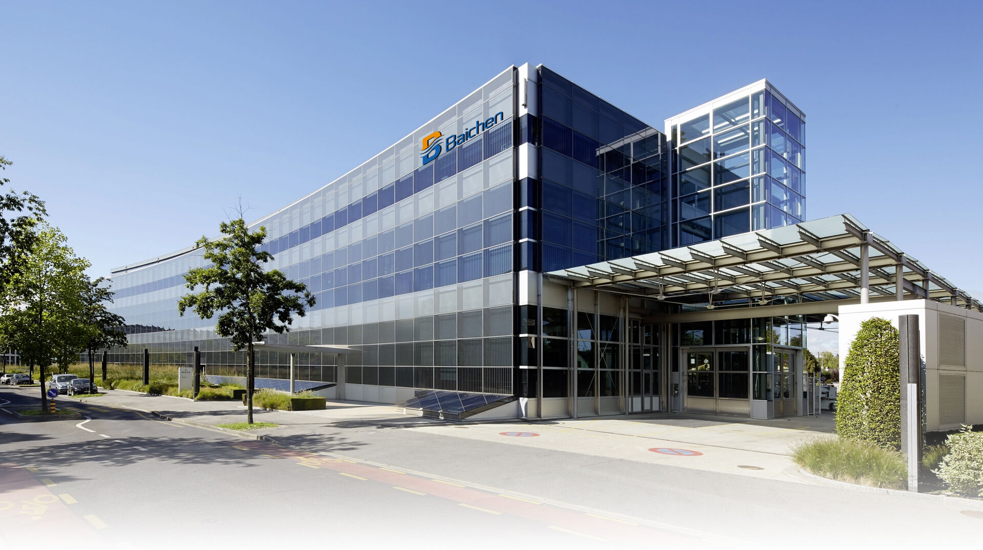 Watch The Company Video