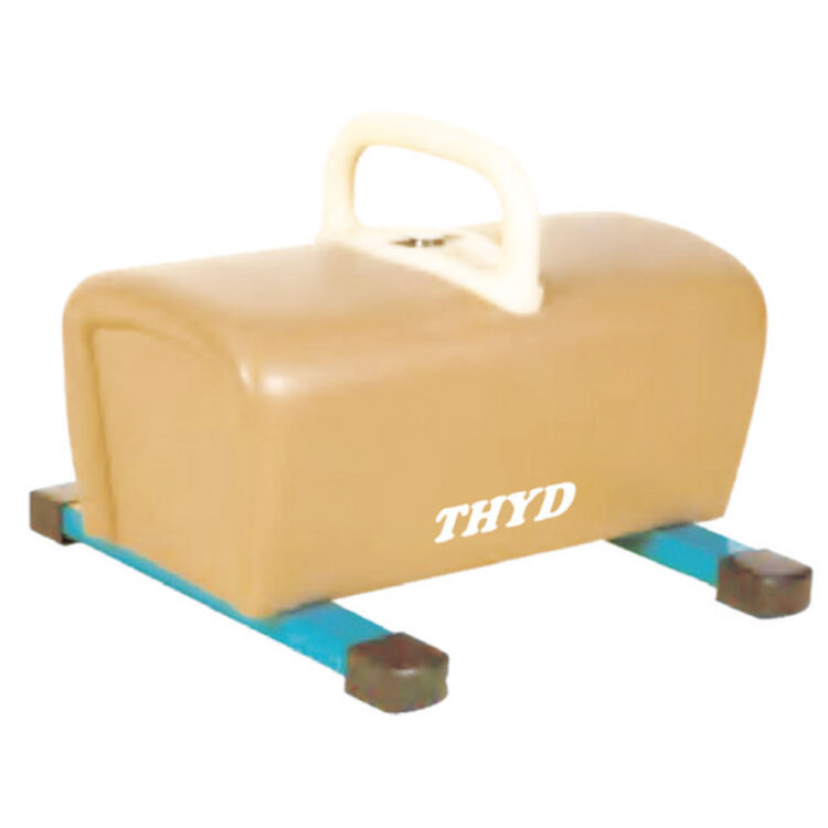 SINGLE RING FLOOR POMMEL HORSE (C)