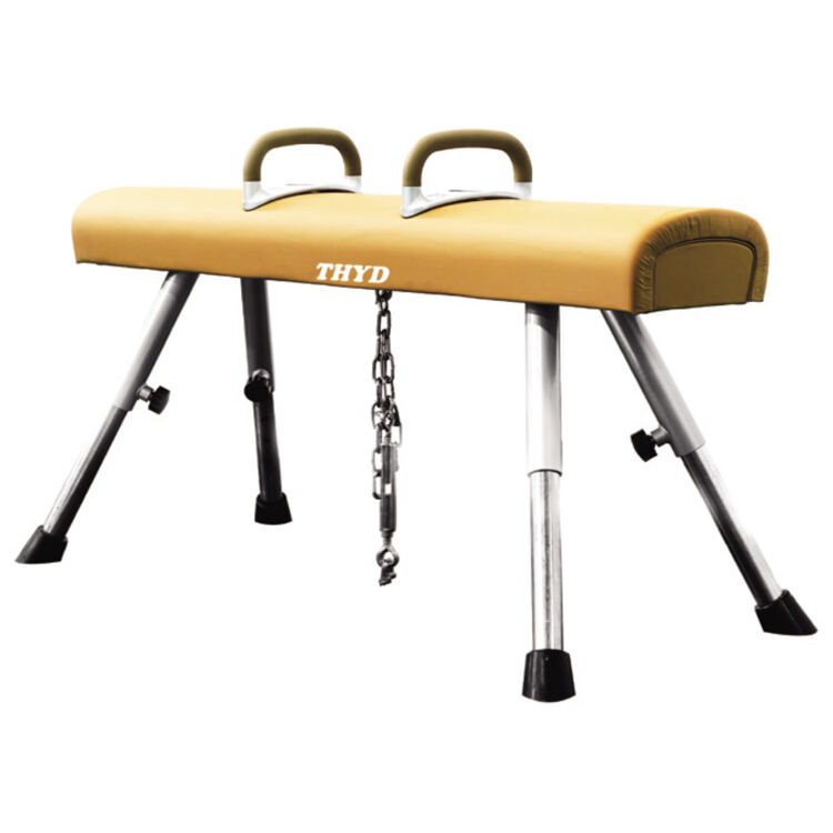LOW POMMEL HORSE (B)