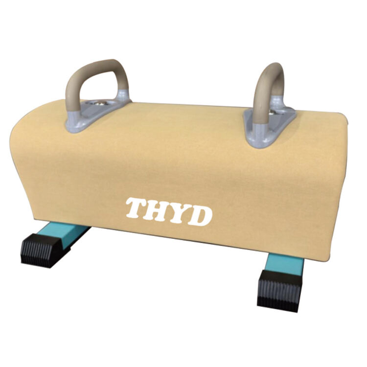 DOUBLE RINGS FLOOR POMMEL HORSE (B)