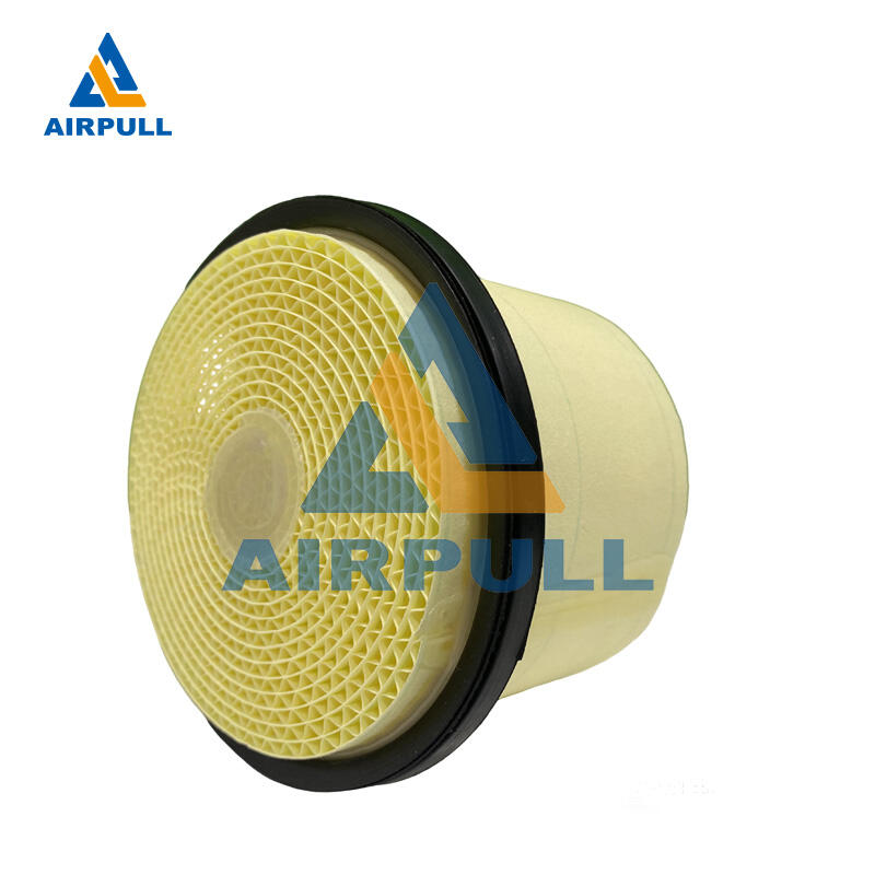 Airpull Brand Compressor Air Filter Replacement Parts Compressor Filter Element Supplier 6.4432.0