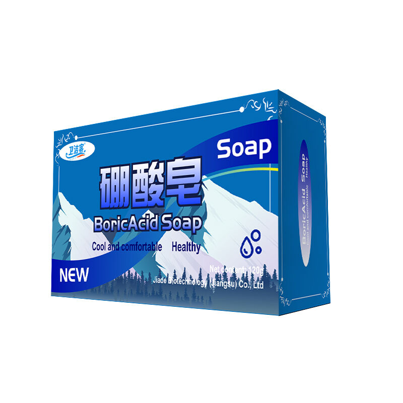 Enhancing Your Daily Routine with Lingerie Soap with Aloe Vera