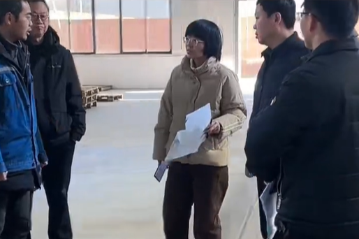 Leadership inspection empowers the high-quality development of Henan LanTian