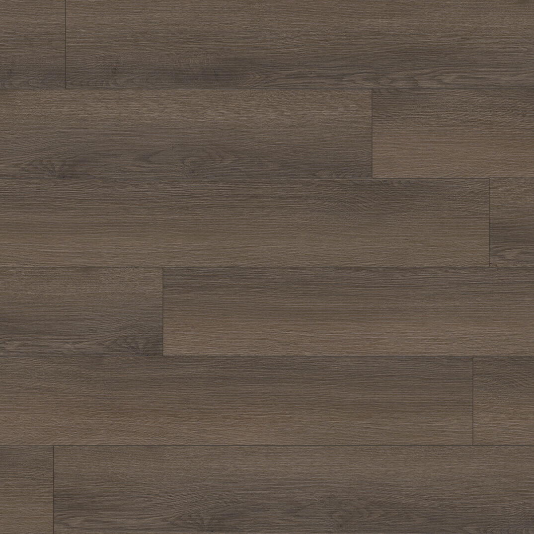 ကလောင်းမော်န်တိန် ဝိုင်လ်ဒနက်စ်