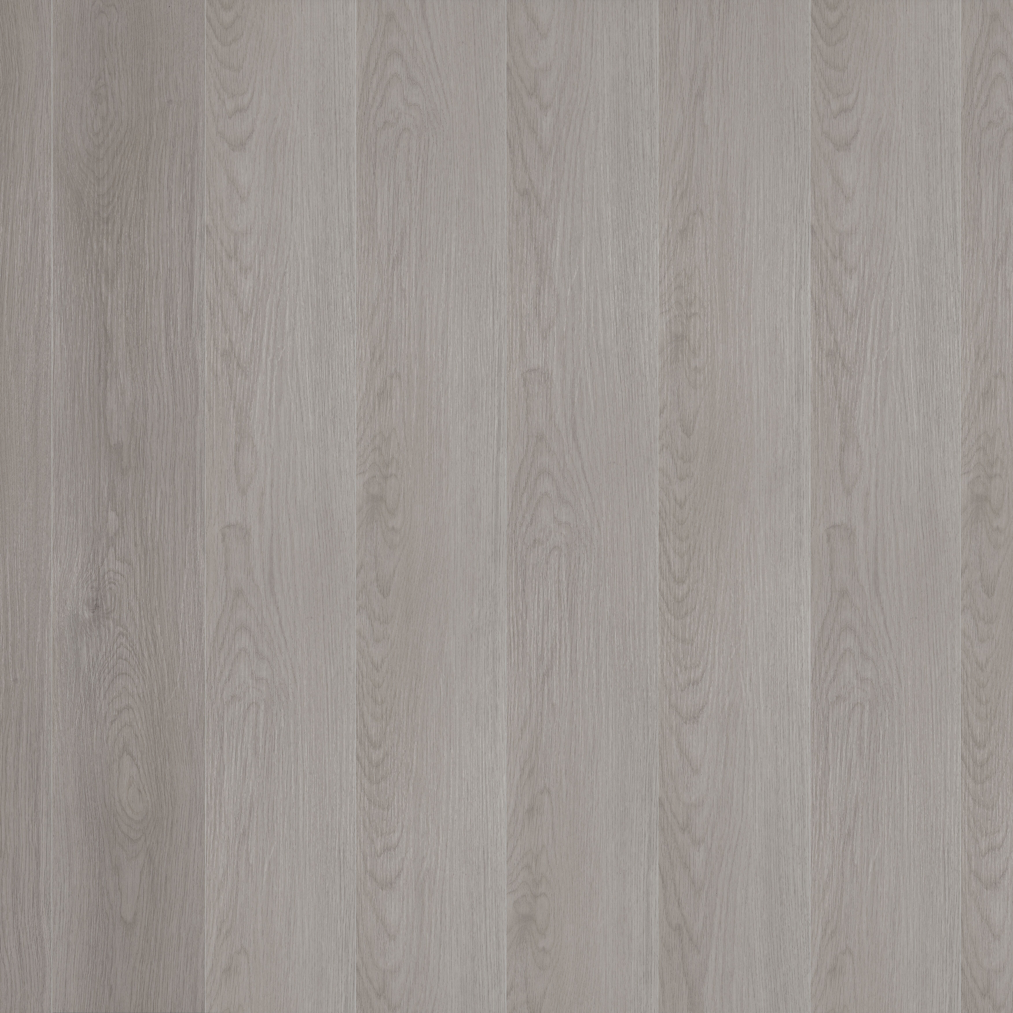 ငွေရောင် လေးနောက် သစ်သားအမျှင်