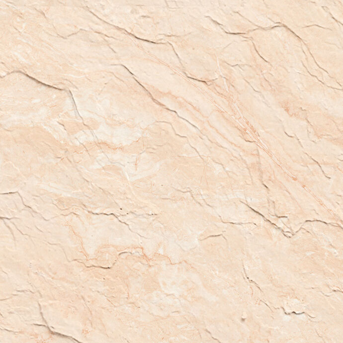 Indian Rice Apricot Stone