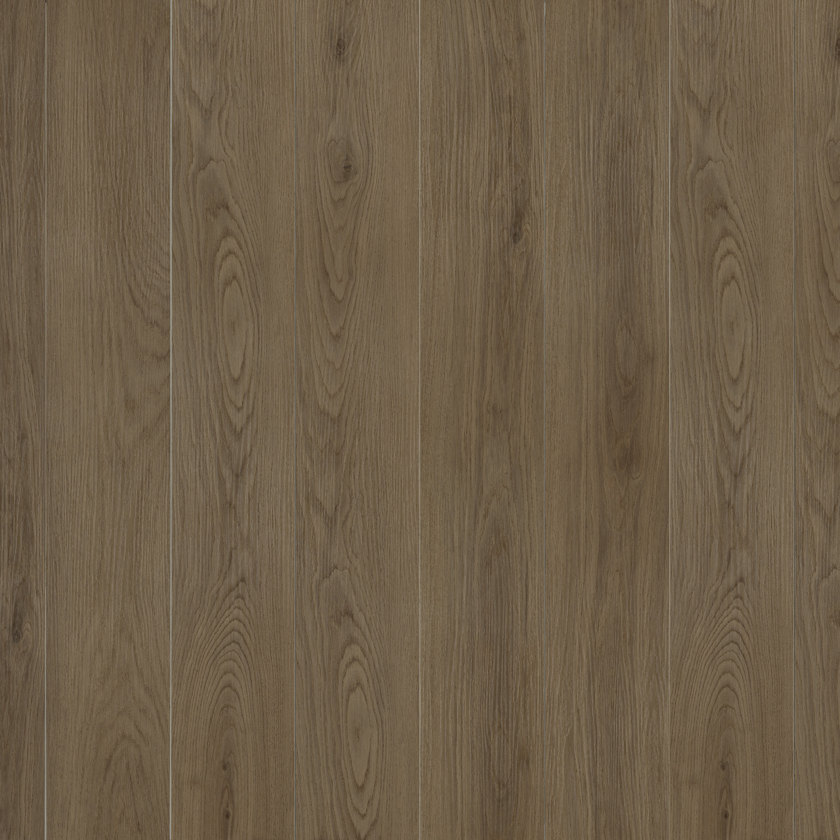 အဝေးမှ မြင့်မာ အရောင်ဖြင့် ဖော်ပြသော အညိုရောင်