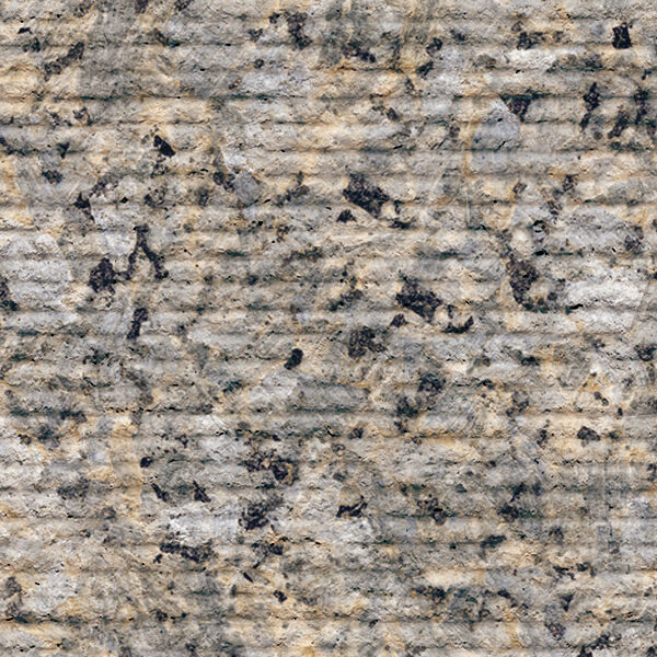 Spanish Yellow Apricot (Ribbed Face)